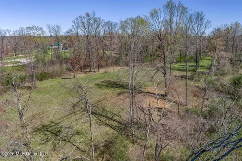 2176 Charles Rd, Olive Branch, MS 38654 photo 9