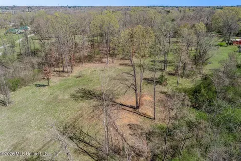 2176 Charles Rd, Olive Branch, MS 38654 photo 7