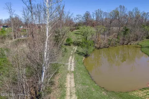 2176 Charles Rd, Olive Branch, MS 38654 photo 3