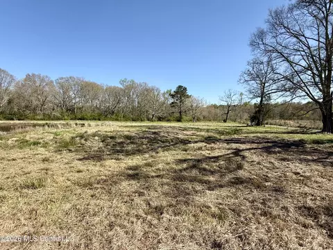 Neal Road, Forest, MS 39074 photo 4