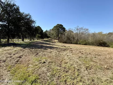 Neal Road, Forest, MS 39074 photo 7