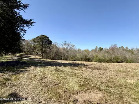 Neal Road, Forest, MS 39074 photo 8