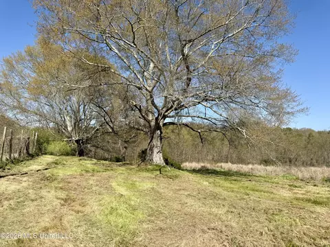 Neal Road, Forest, MS 39074 photo 5