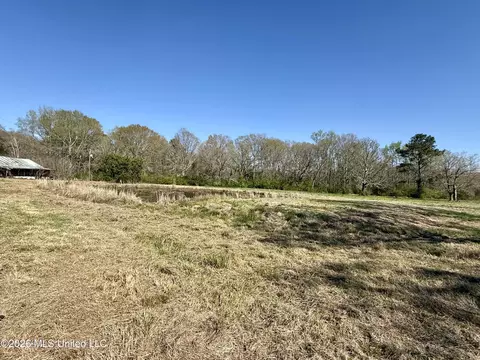 Neal Road, Forest, MS 39074 photo 3