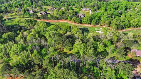 114 Bristol Ct, Madison, MS 39110 photo 21