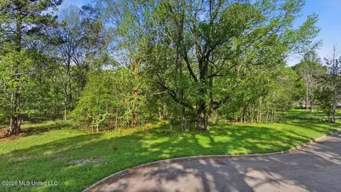114 Bristol Ct, Madison, MS 39110 photo 10