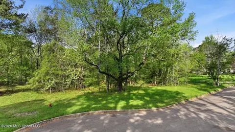 114 Bristol Ct, Madison, MS 39110 photo 23