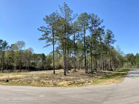 10 Monarch Cir, Carriere, MS 39426