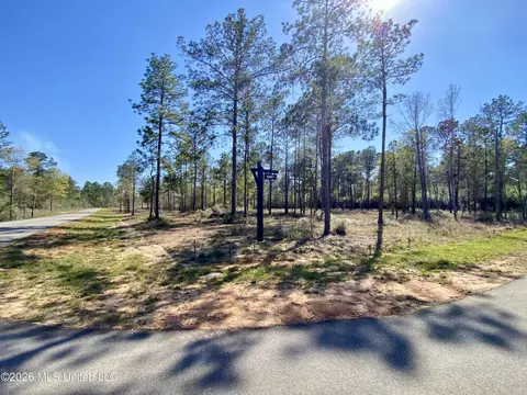 9 Monarch Cir, Carriere, MS 39426