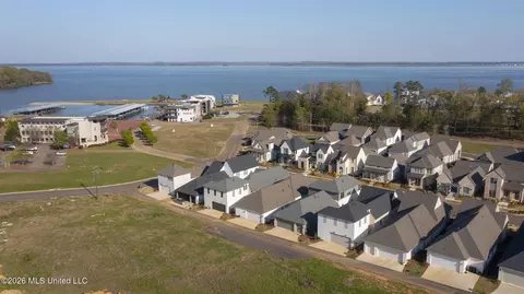 View/Area - 106 Water St, Madison, MS 39110 photo 4 of 6