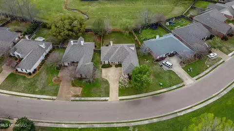 View/Area - 714 Danforth Dr, Madison, MS 39110 photo 10 of 11
