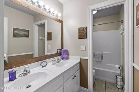 Bath - 343 Avalon Way, Brandon, MS 39047 photo 3 of 3