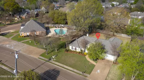View/Area - 343 Avalon Way, Brandon, MS 39047 photo 4 of 7