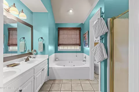 Bath - 343 Avalon Way, Brandon, MS 39047 photo 1 of 3