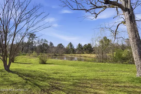 Undisclosed, Walnut Grove, MS 39189 photo 5
