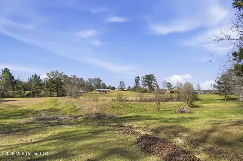 Undisclosed, Walnut Grove, MS 39189 photo 6