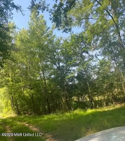 163 Haney Rd, Pinola, MS 39149