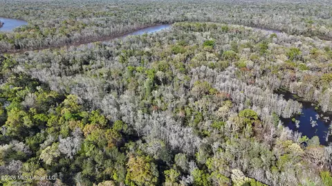 0 River Walk Dr, Vancleave, MS 39565 photo 12