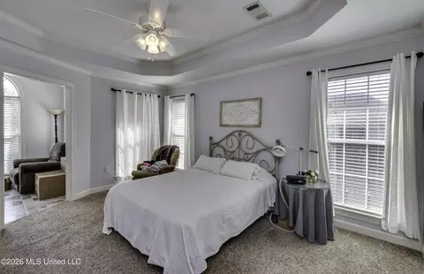 Bedroom - 371 Avalon Way, Brandon, MS 39047 photo 4 of 17
