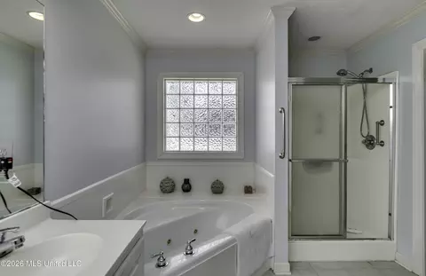 Bath - 371 Avalon Way, Brandon, MS 39047 photo 5 of 7