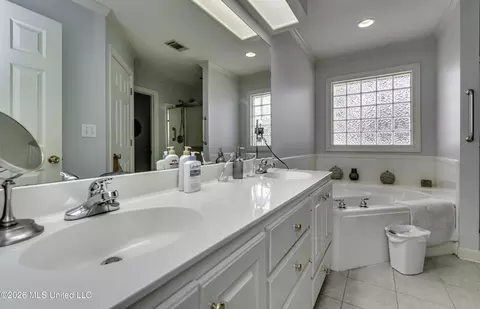 Bath - 371 Avalon Way, Brandon, MS 39047 photo 1 of 7
