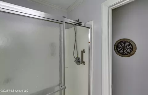 Bath - 371 Avalon Way, Brandon, MS 39047 photo 4 of 7