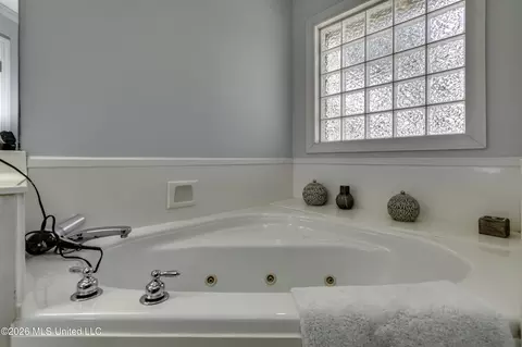 Bath - 371 Avalon Way, Brandon, MS 39047 photo 2 of 7