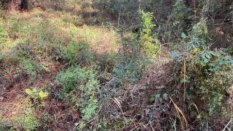 Schmidt Road, Mccomb, MS 39648 photo 5
