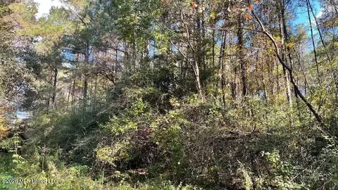 Schmidt Road, Mccomb, MS 39648 photo 7