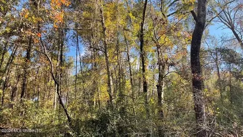 Schmidt Road, Mccomb, MS 39648 photo 8