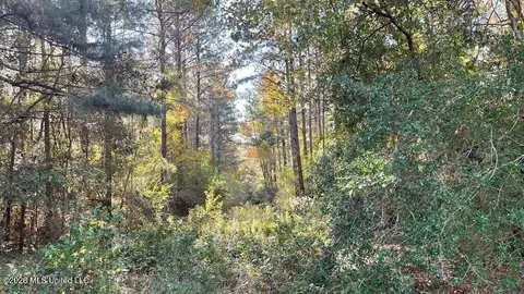 Schmidt Road, Mccomb, MS 39648 photo 4