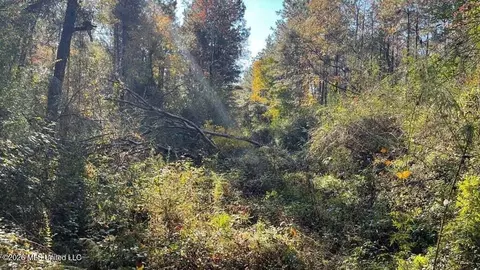 Schmidt Road, Mccomb, MS 39648 photo 2