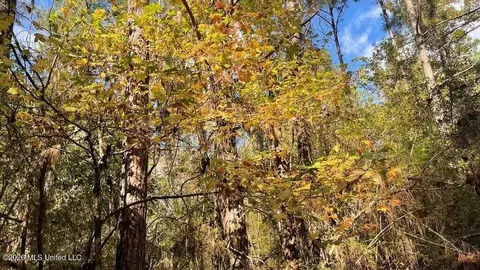 Schmidt Road, Mccomb, MS 39648 photo 6