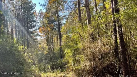 Schmidt Road, Mccomb, MS 39648 photo 8