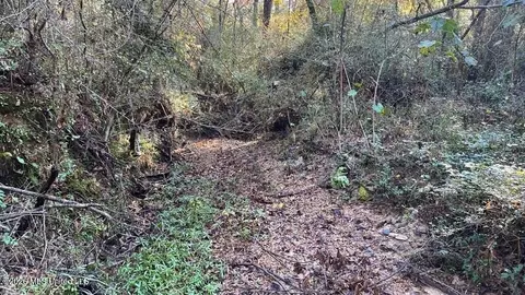 Schmidt Road, Mccomb, MS 39648 photo 4