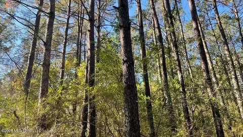 Schmidt Road, Mccomb, MS 39648 photo 7