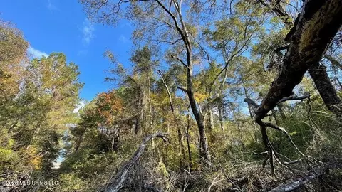 Schmidt Road, Mccomb, MS 39648