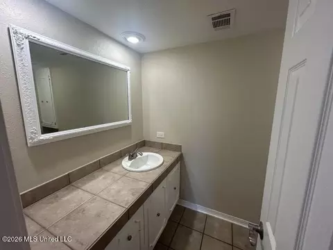 Bath - 45 Stonegate Dr, Brandon, MS 39042 photo 5 of 6