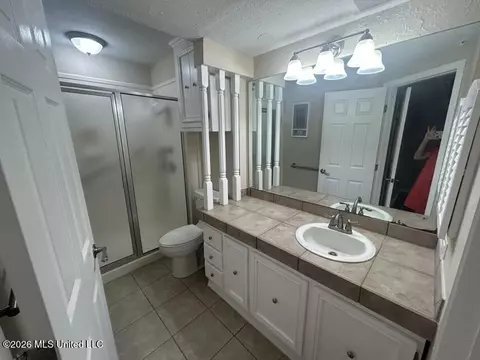 Bath - 45 Stonegate Dr, Brandon, MS 39042 photo 4 of 6