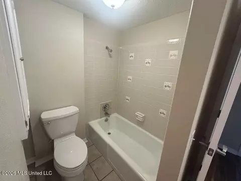 Bath - 45 Stonegate Dr, Brandon, MS 39042 photo 6 of 6