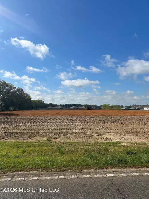 2 2 Acres Hwy 613, Lucedale, MS 39452