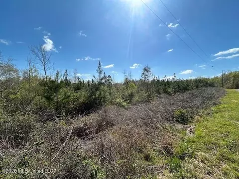 Austin Smith Road, Ruth, MS 39662 photo 3
