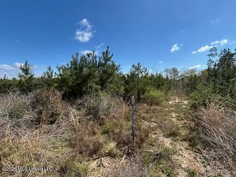 Austin Smith Road, Ruth, MS 39662 photo 7