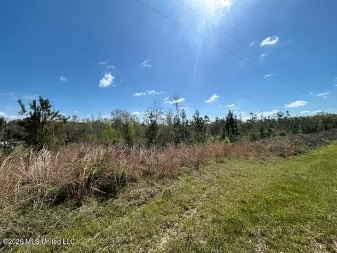 Austin Smith Road, Ruth, MS 39662 photo 5