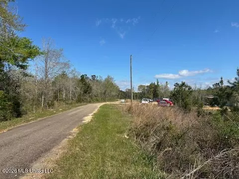 Austin Smith Road, Ruth, MS 39662 photo 2
