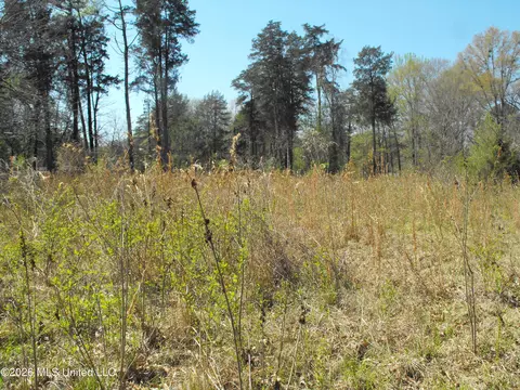 000 Berry Dr, Florence, MS 39073 photo 2