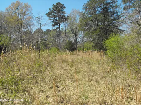 000 Berry Dr, Florence, MS 39073 photo 3
