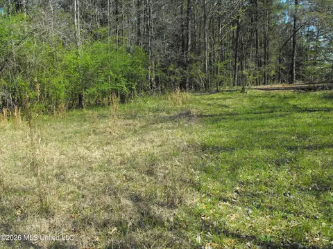 000 Berry Dr, Florence, MS 39073 photo 6