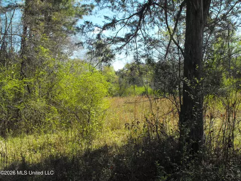 000 Berry Dr, Florence, MS 39073 photo 5
