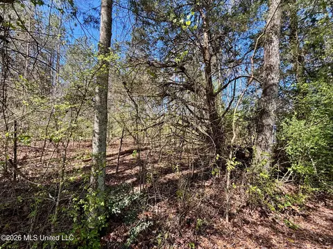 SEvans Loop, Ruth, MS 39662 photo 4